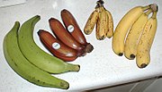 Bananas – botanically berries, but not commonly described as such